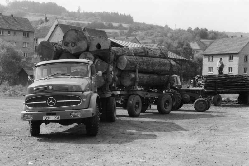 LKW Ihrer Spedition für Holztransporte